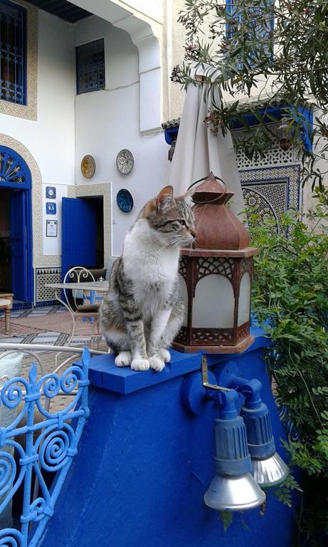 Riad Jean Claude Fès Dış mekan fotoğraf